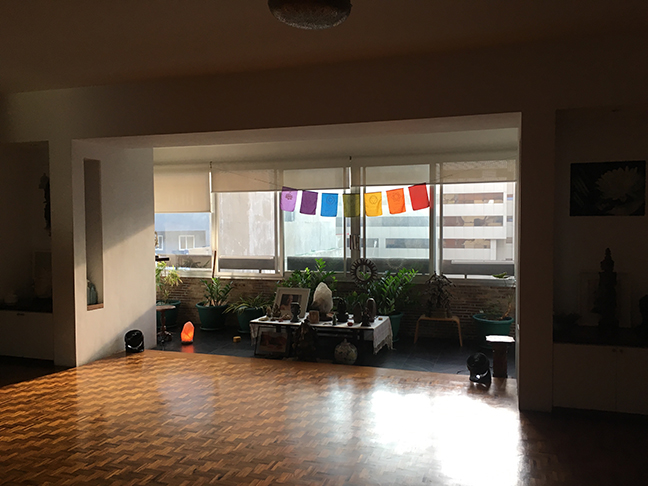 Natural light in Stillpoint yoga studio