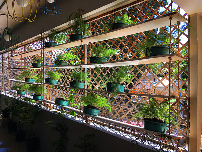 Potted plants on shelves due to the limited space in One Yoga studio