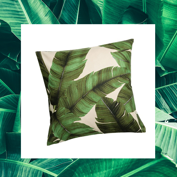 Tropical Vibes will be a Mainstay in Interior Design This Year
