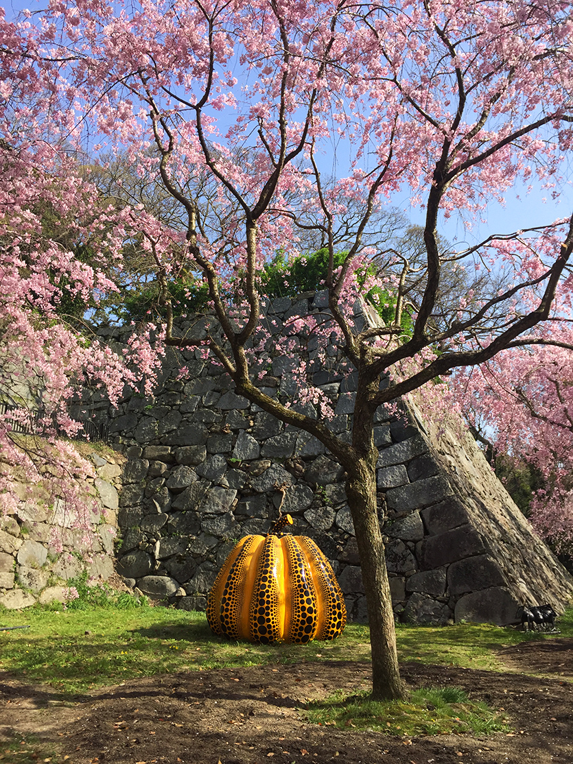 Cherry Blossom Pink as Color Inspiration for Personal Spaces