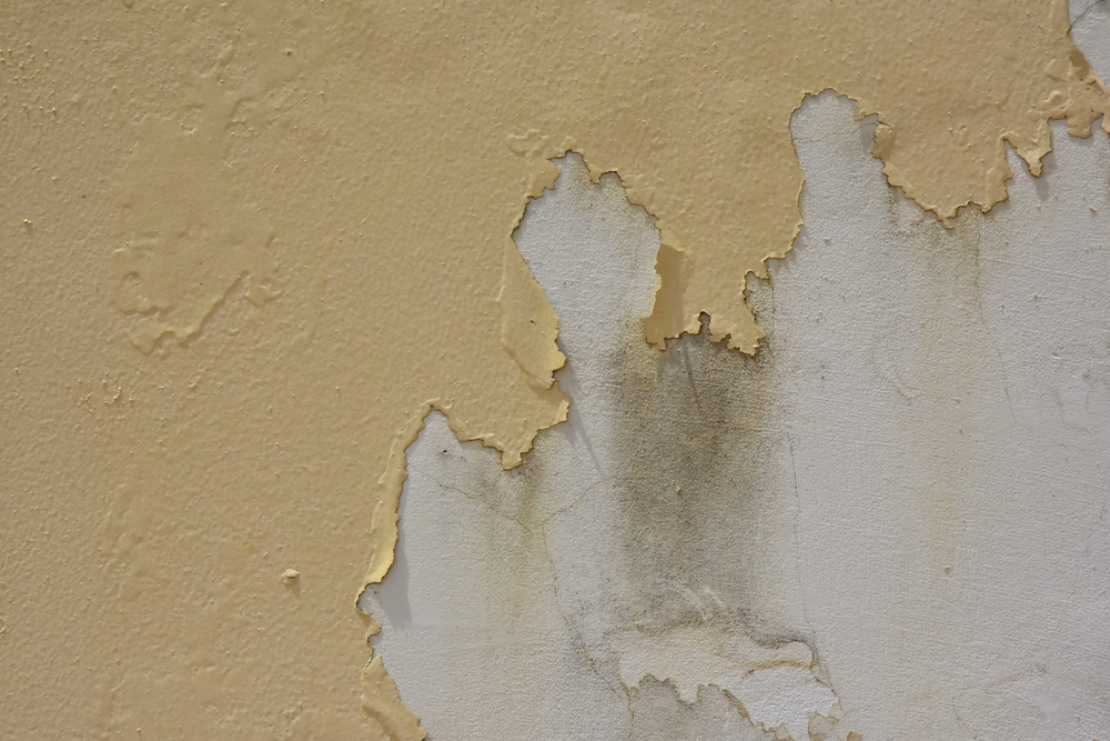 Common Painting Problems: What is Peeling?