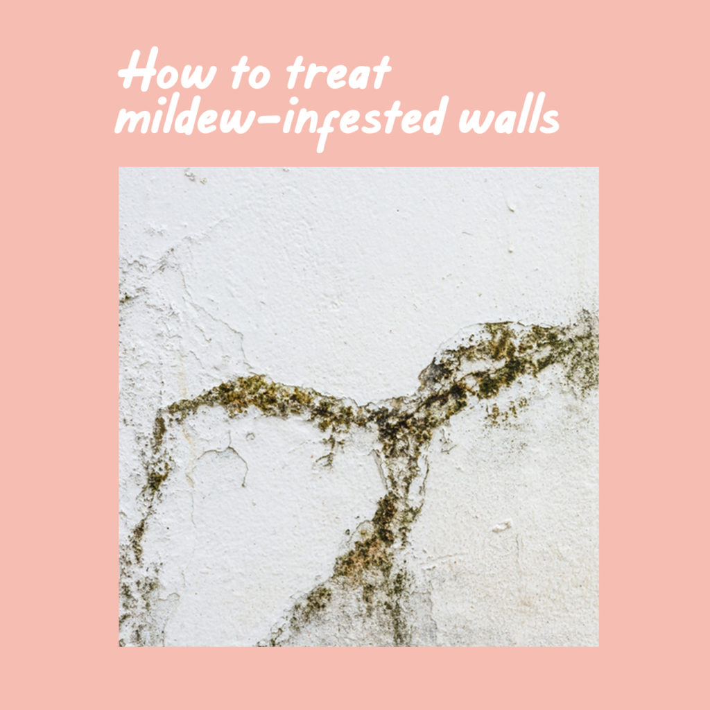 Boysen Tutorials: How to Paint Your Condo | Mildew-infested wall