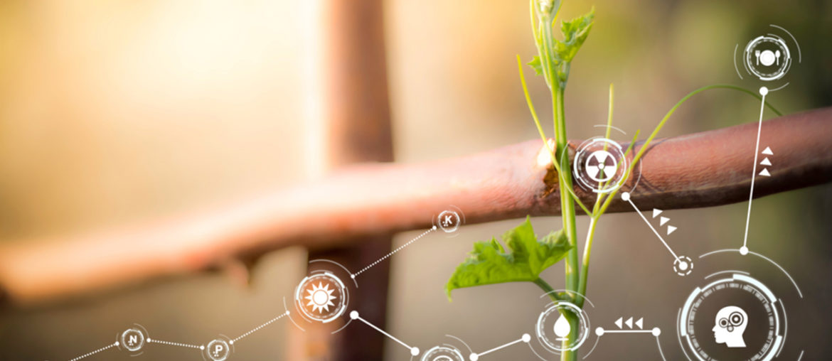 Enhance Quarantine Life: Boost Your Gardening Game with Technology