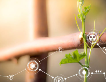 Enhance Quarantine Life: Boost Your Gardening Game with Technology