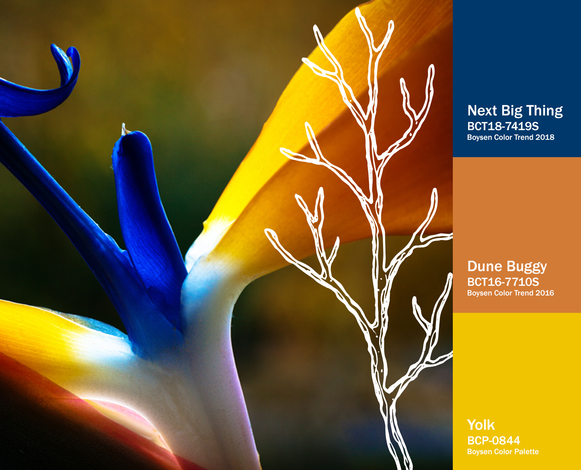 More Paint Color Schemes for You To Choose From | MyBoysen More Paint Color Schemes for You To Choose From | MyBoysen