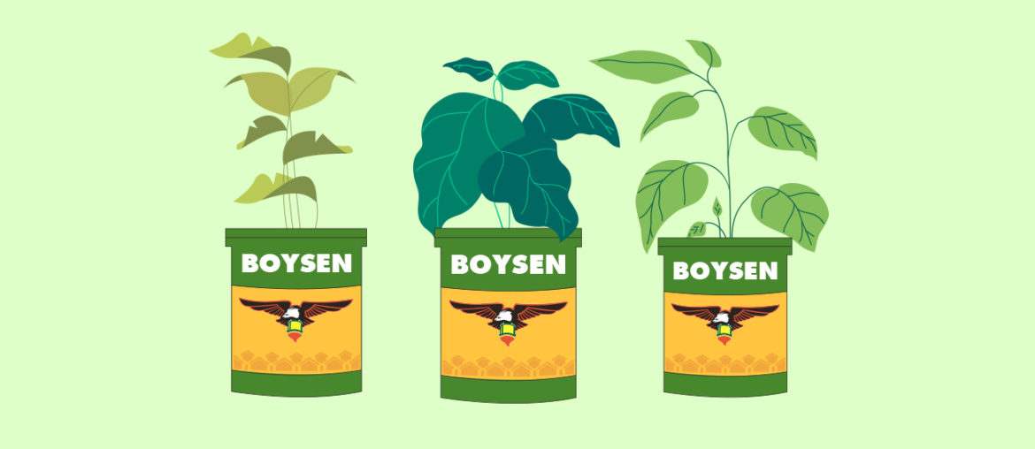 Upcycling Boysen Paint Cans: Paint Pots to Plant Pots | MyBoysen