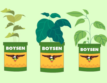 Upcycling Boysen Paint Cans: Paint Pots to Plant Pots | MyBoysen