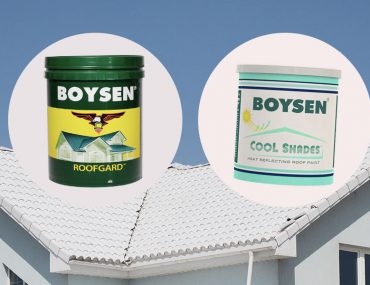 The Top Choice Paint Products for Your Roof | MyBoysen