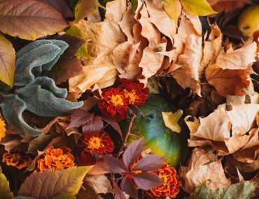 Gorgeous Fall Colors You Can Have For Your Home | MyBoysen