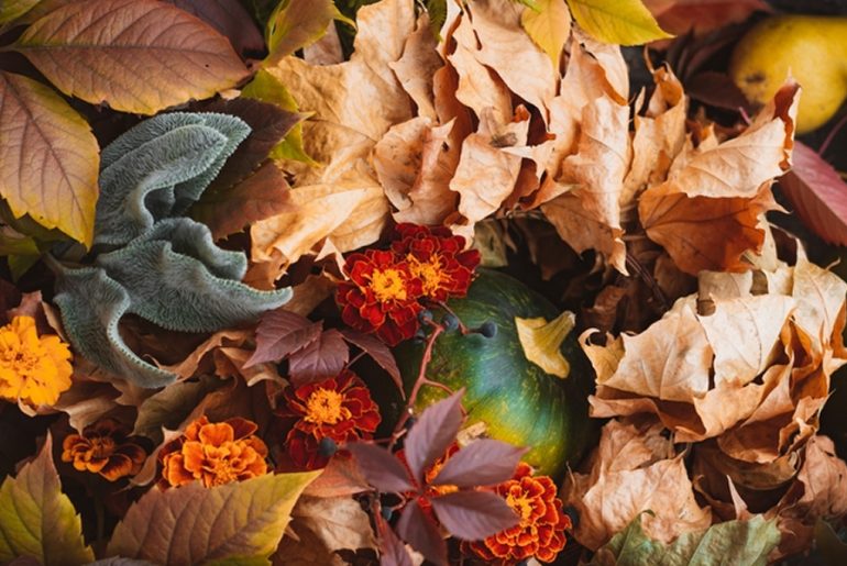 Gorgeous Fall Colors You Can Have For Your Home | MyBoysen