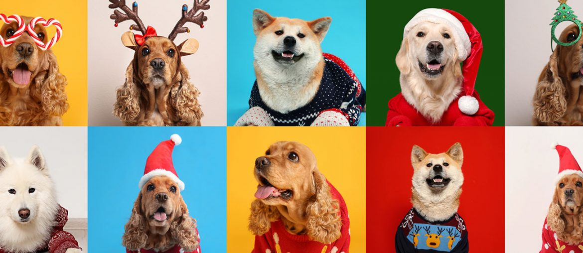 Quiz: Pick a Christmas Sweater and We'll Give You a Holiday Palette | MyBoysen