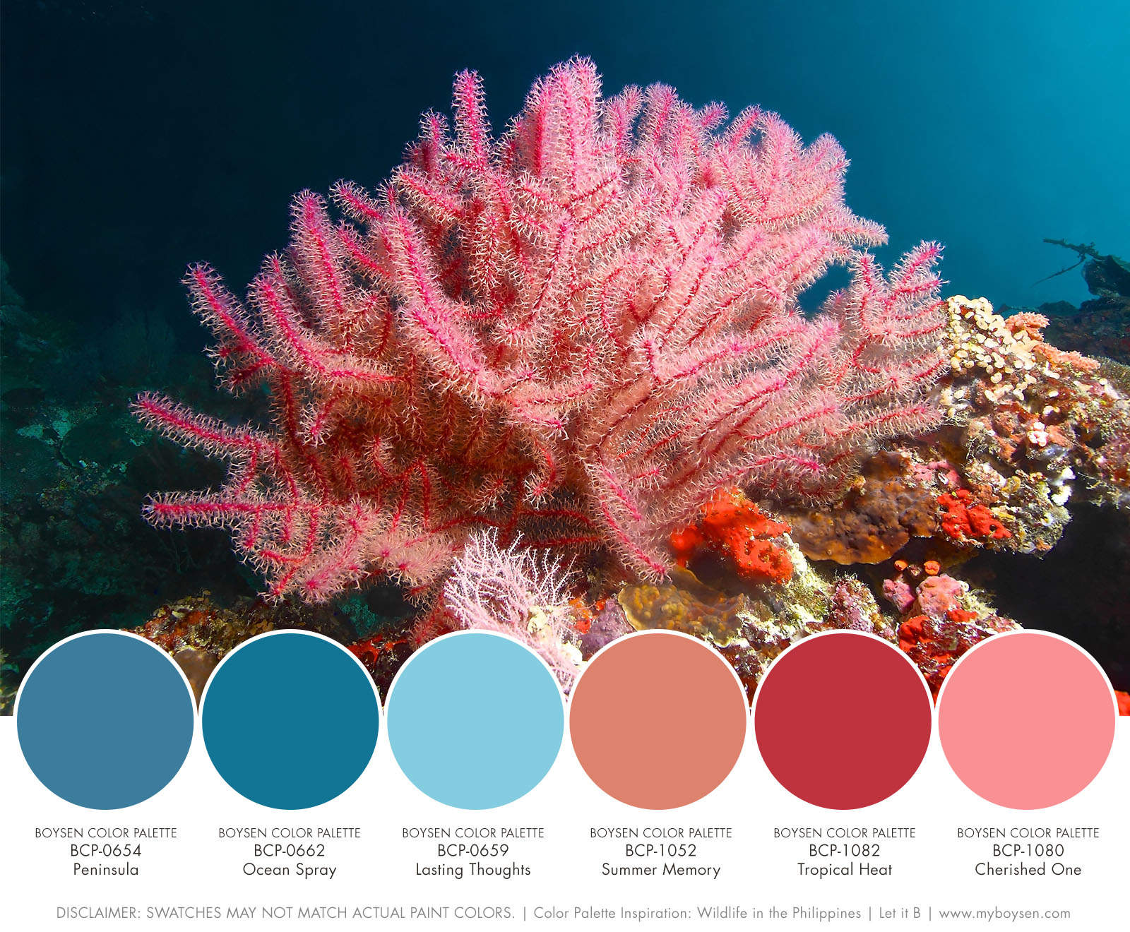  Color Palette Inspiration: Wildlife in the Philippines | MyBoysen