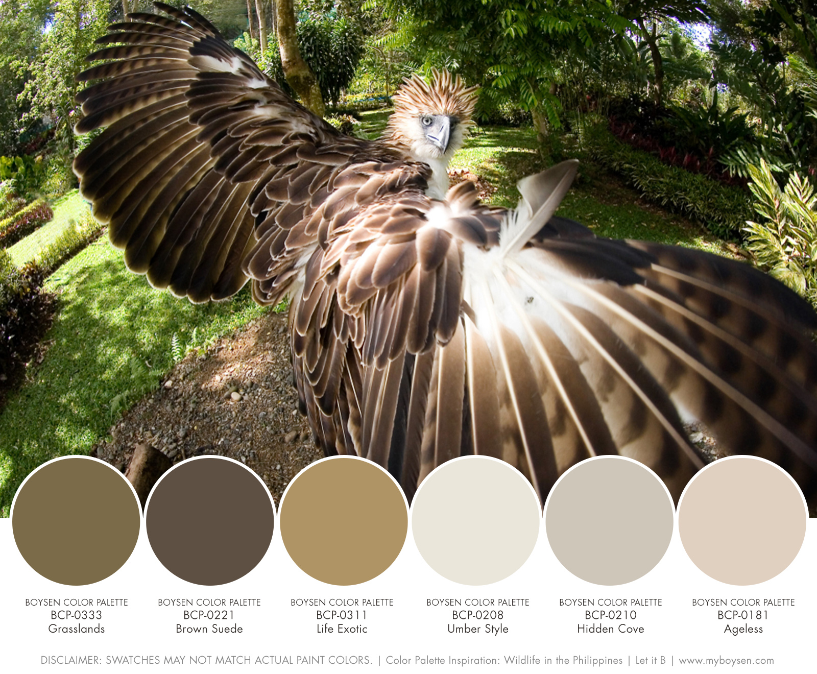  Color Palette Inspiration: Wildlife in the Philippines | MyBoysen