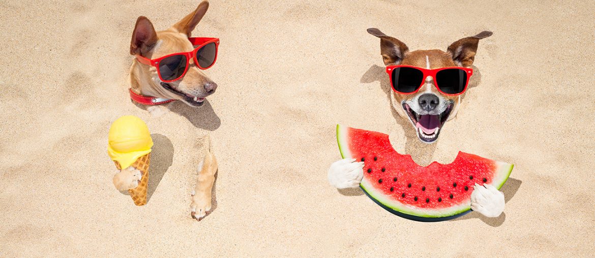 Quiz: Which Summer Cool Treat Are You? | MyBoysen