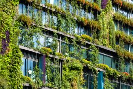 Passive Design: Good for the Environment | MyBoysen
