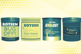 Innovative Boysen Paint Products You Might Not Know About