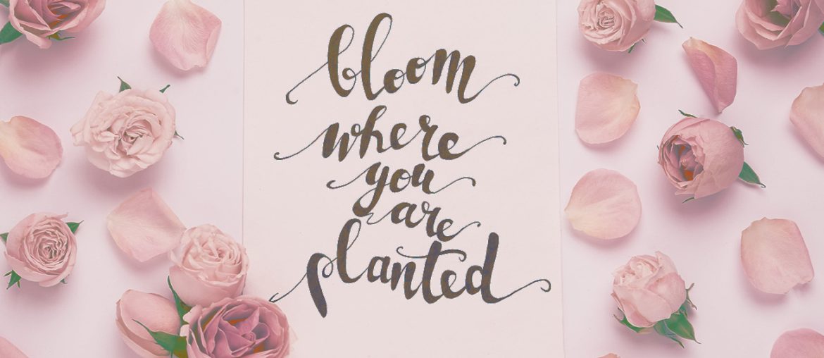 Daily Affirmations with the Bloom Color Palette | MyBoysen