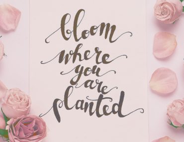 Daily Affirmations with the Bloom Color Palette | MyBoysen