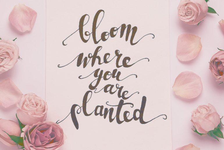 Daily Affirmations with the Bloom Color Palette | MyBoysen