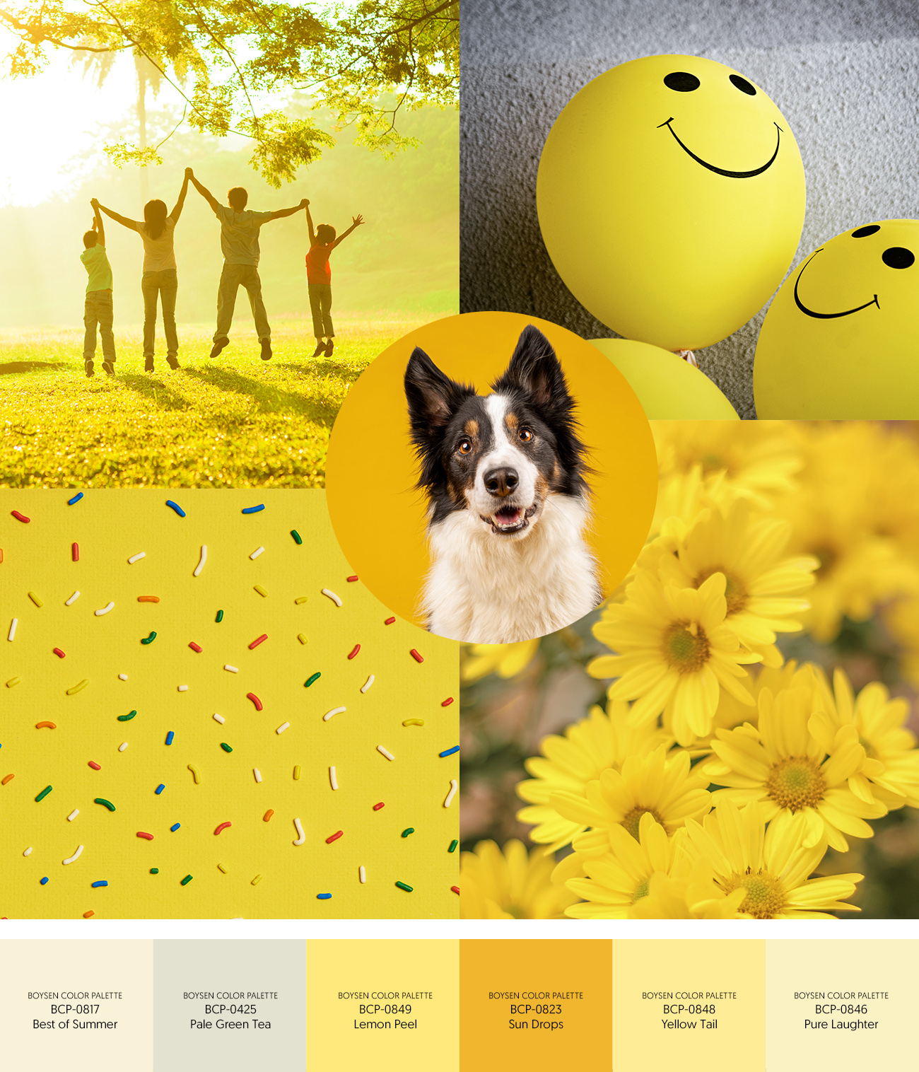 Colors of Joy and Well-Being: Happy International Day of Happiness! | MyBoysen