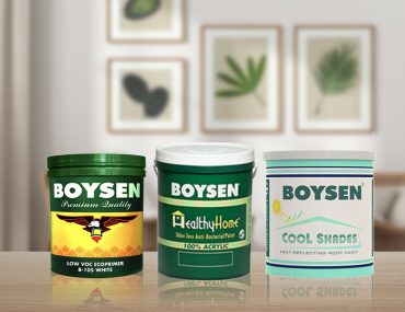 Excellent Quality, Extra Features, and More: Make the Switch to Eco-Friendly Paint | MyBoysen