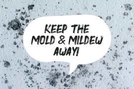 Boysen Paint Products to Help Keep Mold and Mildew Away | MyBoysen