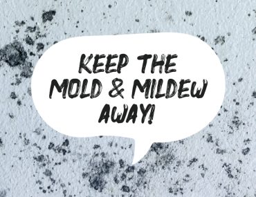 Boysen Paint Products to Help Keep Mold and Mildew Away | MyBoysen