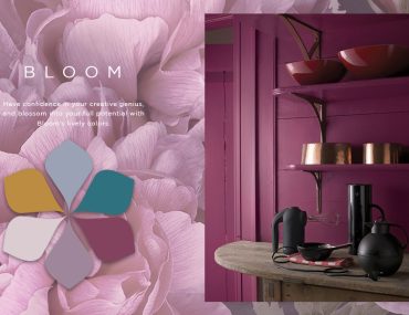 QUIZ: Which BLOOM Color Palette Hue Should You Try? | MyBoysen