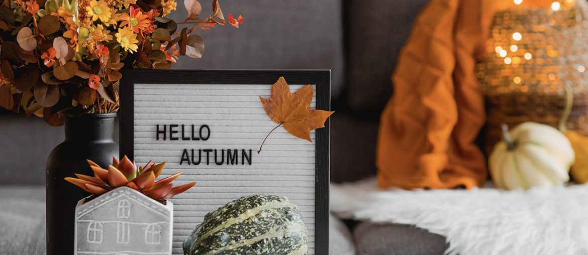 Cozy Autumn-Inspired Accent Walls to Try | MyBoysen