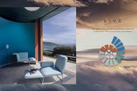 QUIZ: What LIVE Color Palette Should You Try? | MyBoysen