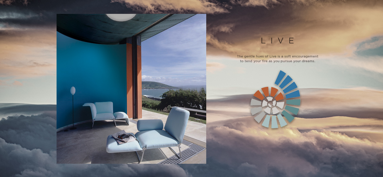 QUIZ: What LIVE Color Palette Should You Try?