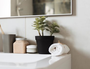 Bathroom Cleaning Guide | MyBoysen