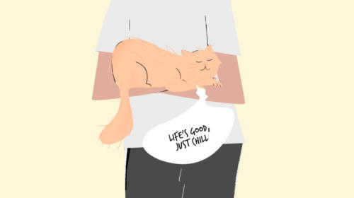 A Hooman Daddy's Cozy Cat Tales | MyBoysen